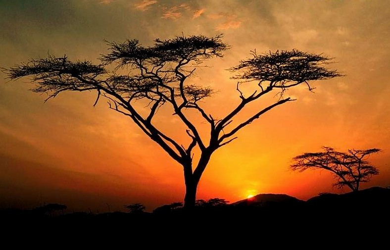 Welcome to the most exciting and empowering website in cyberspace - Pathway of Smart People - - one million unique pages of shortcuts for YOU